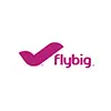 flybig